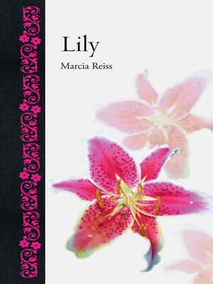 cover image of Lily